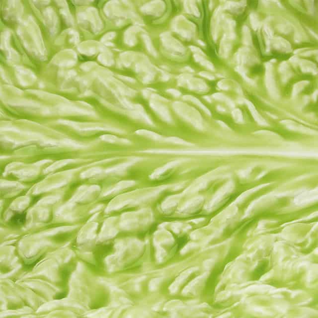 A Alfacinha dos Caracóis - Laboratório d'Estórias