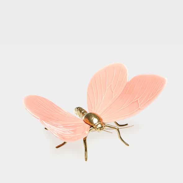 Borboleta_rosa_PD_590x Borboleta Rosa - Laboratório d'Estórias