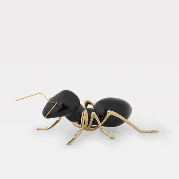 Formiga_Preto_NAT_BR_590x Formiga Preta - Laboratório d'Estórias