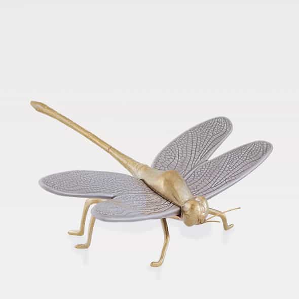 Libelinha_Cinza_NAT_590x Libelinha Cinza - Laboratório d'Estórias