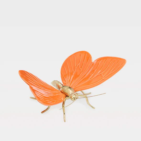 laranja Borboleta Laranja - Laboratório d'Estórias